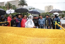 Comité técnico del alumbrado garantiza un recorrido bonito y seguro en el Bulevar del Río