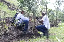 Agencias de cooperación internacional resaltan valor social de huertas y jardines del jarillón