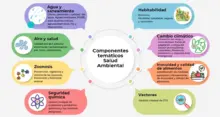componentes-tematicos