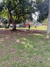 Por segunda vez en 2022, Datic embellece el parque Colseguros Andes