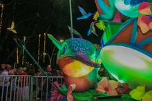 Shows de salsa y de luces le ponen sabor al alumbrado navideño ‘Cali, Luz y Vida’