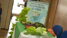 Instituciones educativas rurales cierran el 2022 con proyectos productivos