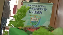 Instituciones educativas rurales cierran el 2022 con proyectos productivos