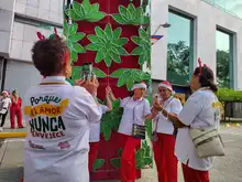 Visitantes del Valle se maravillan con el alumbrado caleño