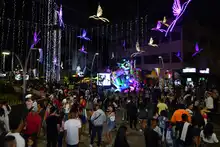 El centro de la capital vallecaucana  se llena de luz y alegría con el alumbrado navideño. 