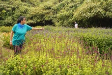 Dagma presentó los diseños del Parque Ambiental ‘Corazón de Pance’