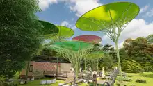 Conozca los diseños del Parque Ambiental ‘Corazón de Pance’