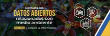 Datos abiertos