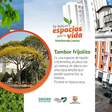 ‘Espacios para la Vida’ sembrará su árbol 2000 en Brisas de Mayo
