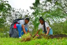 ‘Espacios para la Vida’ sembrará su árbol 2000 en Brisas de Mayo