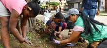 520 jóvenes empezaron dar muestras de transformación social gracias a ‘Cali Incluyente’