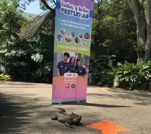Jóvenes de Todas y Todos a Estudiar conocieron Casa Común para apropiarse de su identidad caleña