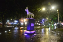  Reforzamos la seguridad para mujeres y niñas en Cali