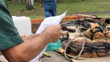 En Cali, caballos y yeguas se liberan de años de trabajo forzado