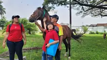 En Cali, caballos y yeguas se liberan de años de trabajo forzado