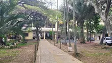 Para 2023, zonas verdes de Escuela Normal Superior Farallones de Cali se proyectan como bosque urbano