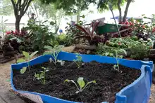 Bienestar Social acompaña proyecto del Gobierno Nacional para erradicar el hambre en Colombia