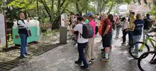 Caleños, caleñas y turistas podrán disfrutar de recorridos con remate de Feria