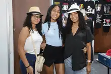 Melómanos y Coleccionistas resurge recargado
