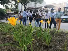 Dagma entrega varios separadores verdes a la ciudad