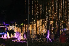 ¡Alumbrado navideño de Cali sinónimo de unión familiar, reactivación económica, cultura ciudadana y mucha alegría!