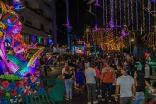 ¡Alumbrado navideño de Cali sinónimo de unión familiar, reactivación económica, cultura ciudadana y mucha alegría!