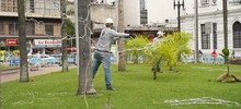 Figuras del Alumbrado Navideño se reutilizarán en eventos de ciudad
