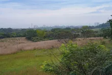 ‘Parque Ambiental Corazón de Pance’ se proyecta como único en biodiversidad y procesos de aprendizaje