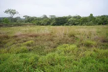 ‘Parque Ambiental Corazón de Pance’ se proyecta como único en biodiversidad y procesos de aprendizaje