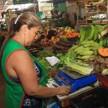 ¿Cómo reemplazar y conservar alimentos de la canasta familiar?