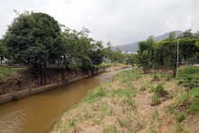 Proyecto de mantenimiento y recuperación de la ribera del río Cali 