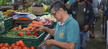 Alcaldía de Cali realiza seguimiento continuo a los precios de la canasta familiar