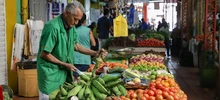 Alcaldía de Cali realiza seguimiento continuo a los precios de la canasta familiar