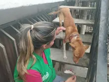 Un verdadero ‘milagro’ de vida