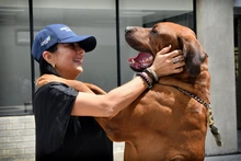 Centro de Bienestar Animal recibió donación de insumos para el beneficio de los seres sintientes
