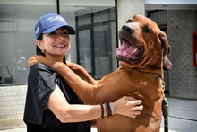 Centro de Bienestar Animal recibió donación de insumos para el beneficio de los seres sintientes