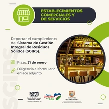 Cumplimiento SGIRS