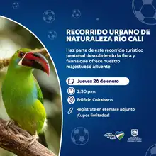 Disfruta de recorridos turísticos en el marco del Suramericano Sub20