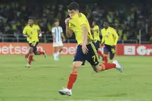 35.000 personas en el Pascual celebraron la clasificación de Colombia a la final del Suramericano