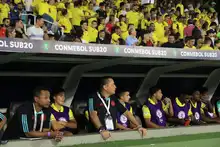 35.000 personas en el Pascual celebraron la clasificación de Colombia a la final del Suramericano