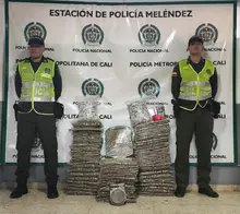 Autoridades incautaron más de 53 mil gramos de marihuana en el sector de Los Chorros