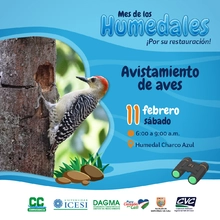 Día Mundial de los Humedales: un 2023 por su restauración
