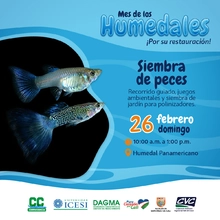 Día Mundial de los Humedales: un 2023 por su restauración