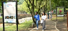 Las gatas de Tejada estrenan exposición fotográfica
