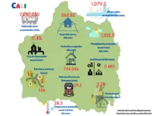 Infografía Cali en Cifras - 1