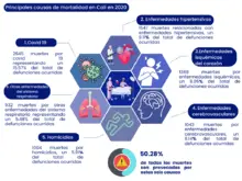 Cali en cifras - Salud y educación 1