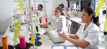 El empleo en Cali se recuperó después del paro nacional