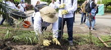 Cali referente nacional en estrategias de soberanía alimentaria con 783 iniciativas agroecológicas 