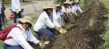 Cali referente nacional en estrategias de soberanía alimentaria con 783 iniciativas agroecológicas 