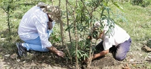 Cali referente nacional en estrategias de soberanía alimentaria con 783 iniciativas agroecológicas 